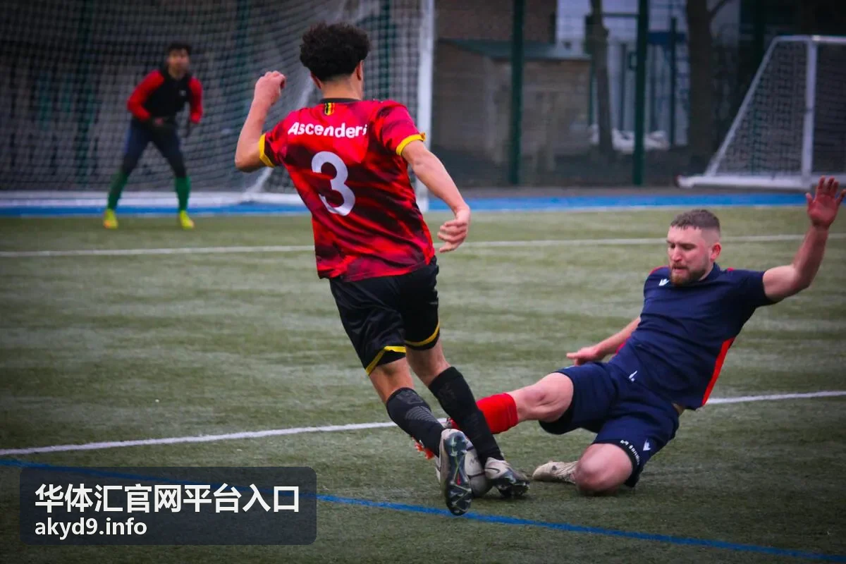 内容创作素材整理场景中的华体汇体育数据服务